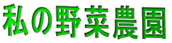 ̖ؔ_