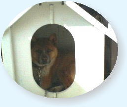 ܂̎ʐ^